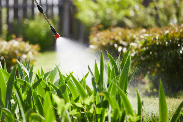 24/7 Emergency Mosquito Control experts in Micco, FL