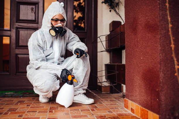 Reliable Mosquito Control contractor in Micco, FL by Show Me Pest Control